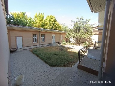 Hovli Olmazor tumani.