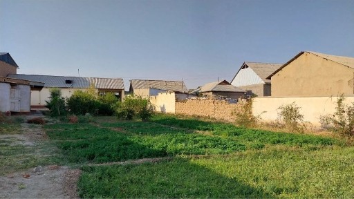 uy sotiladi 12 sotix hovli