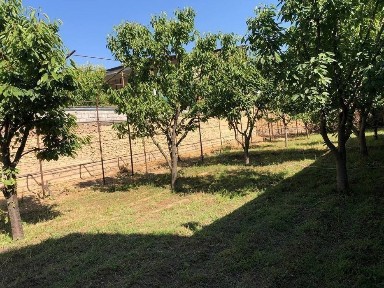 Yunusobod участка 6.75 sotixi 47.500$. метро шахристон 700 ме