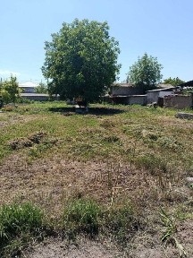 Участка сотилади 6 соток