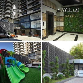 Xonsaroy 