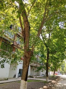 Продается или меняется квартира в кирпичном доме в Нурафшане.