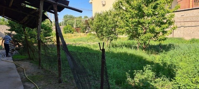 Ташкентская область, Ташкент, Мирзо-Улугбекский район