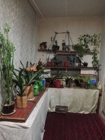 Продаётся 3-х комнатная квартира. Можно сделать 4-х