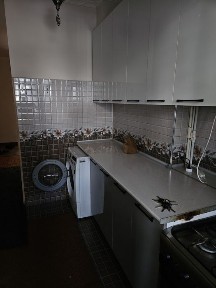Ташкентская область, Янгиюль