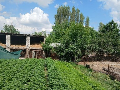 Участка сотилади СУРУМДА