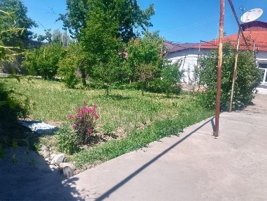 Дом 9.5 аккавак. оптом маркерт