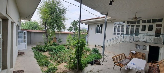 Xovli sotiladi qoraqamishda