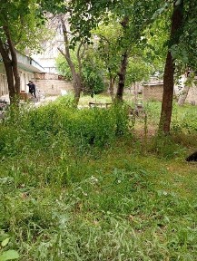 Инвесторларга 7.5 сотих сот. ди фасад 40м Дружба, Коратош, 380 000 $