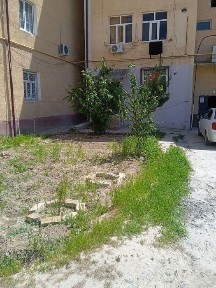 Gulbahor dom sotiladi