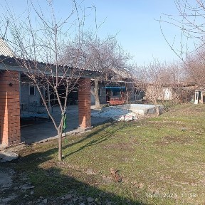 Dala xovli sotiladi manzil UZUMBOĜ