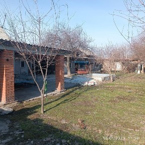 Dala xovli sotiladi manzil UZUMBOĜ