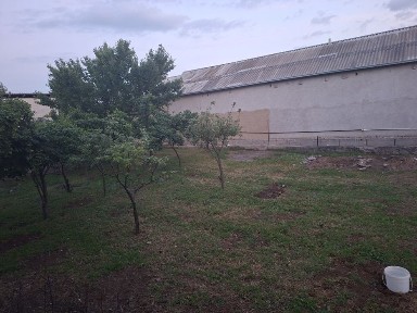 Срочна йер участка сотилади. келишамиз