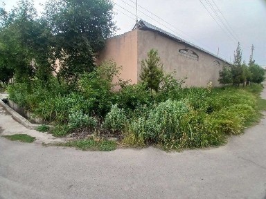 Ташкентская область, Кибрай