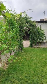 Ташкентская область, Ташкент, Сергелийский район