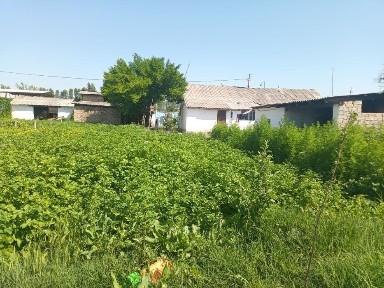 К, уйичирчик, туманида уй сотилади.