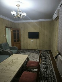 Аренда квартира кора камиш 1/2 2 хона