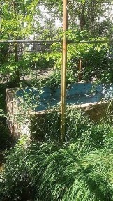 Продам дача 6 соток недалеко от бочки