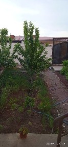 2 сотикли коттедж сотилади, фаргона -аэропортда, кредити бор