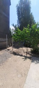 Ташкентская область, Ташкент, Бектемирский район