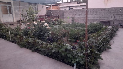 Срочно продам дом