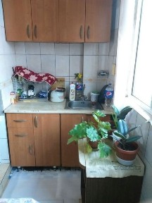 Зарарли одатларсиз угил Боллани ижарага куяман бирга туришга.