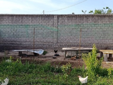 Продам дом с участком 10 соток в экологически чистом районе