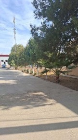 Мева сабзавот махсулотларни қайта ишлаш заводи