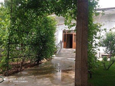 Arenda Toshkent tumani mexnat 2km kirganda hovli ijaraga biznes ga ham
