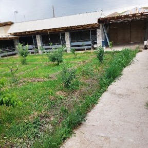 Дом с удобствами на природе в Азадбаше