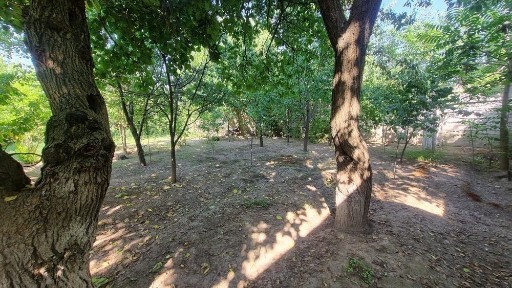 Чингелди. Продаётся участок 6 соток Фасад 20×30