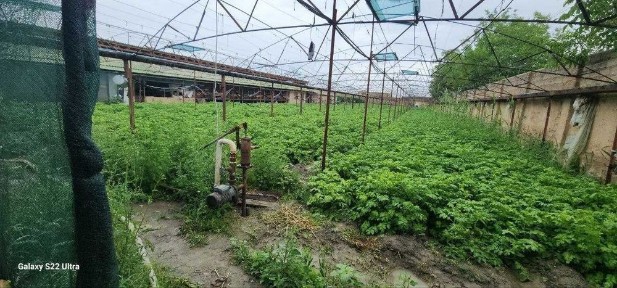 Карши куругида 0.70 сотыхли нотурар бино иншоот
