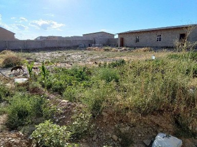 Джизакская область, Галлаарал