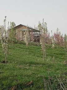 DACHA BOG'Уй жой боғ 70 сотх 400 туп вояга етган мевали дарахтлари