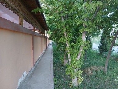 Каракалпакстан, Бустан