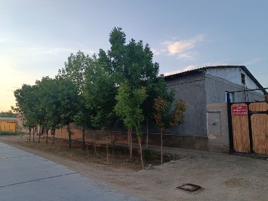 Продается дом 12 соток Ор-р: Гор. отдел