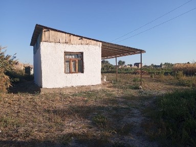 Дача Сатылады. Жузим баг