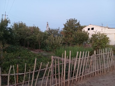 Xojeli amiwdarya xatep apj