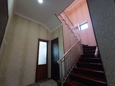 Центрдан тайёр ховли