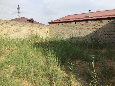 Hovli sotiladi Qarshi shahri