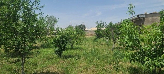 Uy sotiladi siroshni guzorda 30sutik