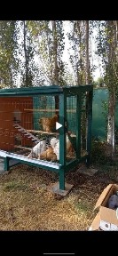 Джизакская область, Зарбдар