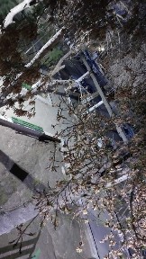 Pridastgir machitdan 2 xonali barcha sharoitlari bn ijaraga beriladi