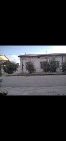 Kattej sotiladi 6 sotix