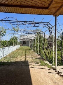 Самаркандская область, Чилек