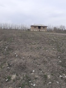 Уй сотилади 41 сутик