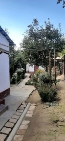 Самаркандская область, Самарканд