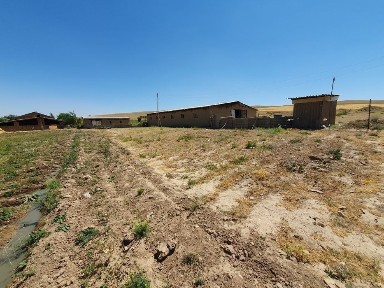 Payariqda tayyor ferma xovli sotiladi 1.5 gektar yoki barter