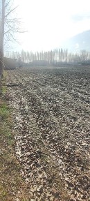 Uchastka sotiladi 40 sotik
