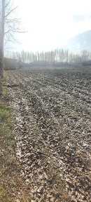Uchastka sotiladi 40 sotik